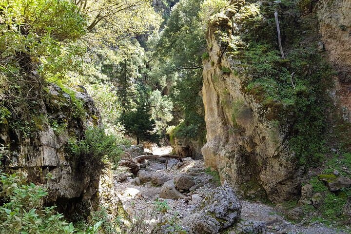 Imbros Gorge Hike and Sfakia Private Day Trip from Heraklion photo 4