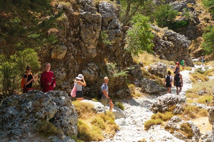 Imbros Gorge Hike and Sfakia Private Day Trip from Heraklion photo 6