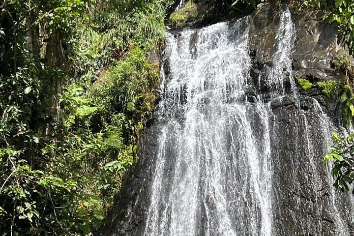 El Yunque Guided Experience: Rainforest Waterfalls, Observation Tower & Luquillo Beach