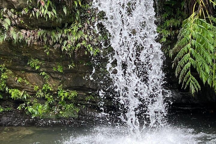 El Yunque Guided Experience: Rainforest Waterfalls, Observation Tower & Luquillo Beach photo 4