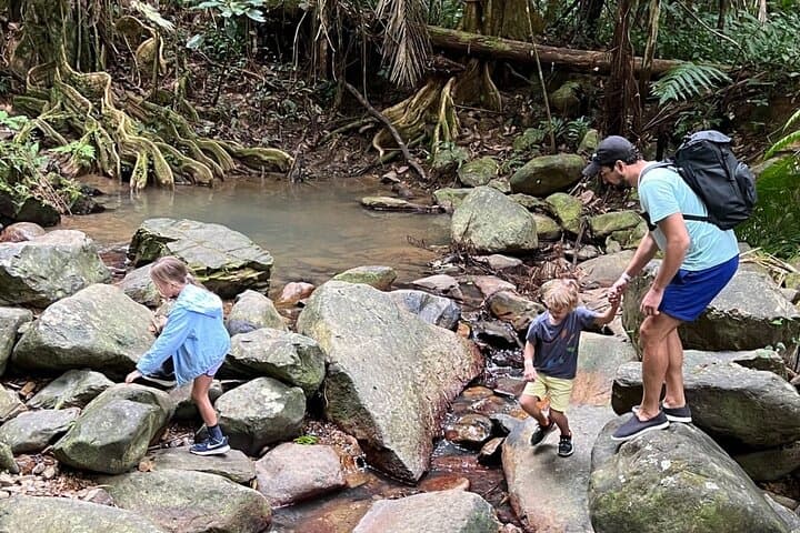 El Yunque Guided Experience: Rainforest Waterfalls, Observation Tower & Luquillo Beach photo 6