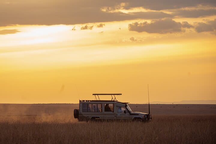 4-Day Private Masai Mara Safari: Big Cats, Migration and Maasai Culture photo 6