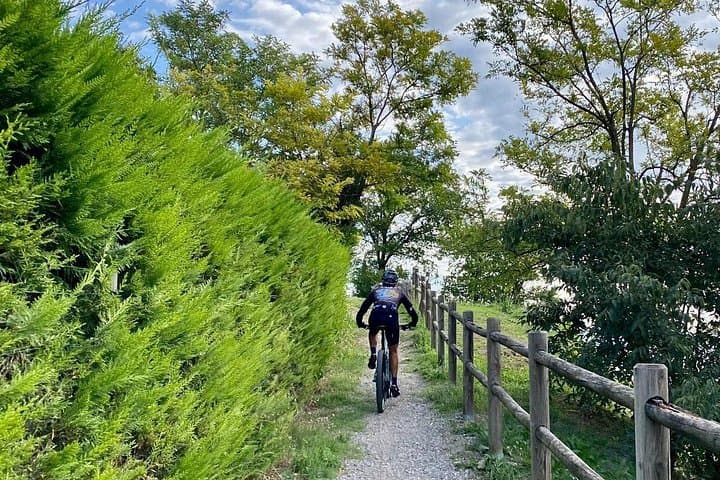 E-Bike Tour Through Sirmione’s Inland Vineyards with Winery Tasting photo 4