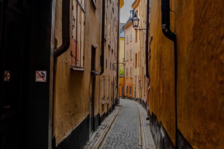 Private Walking Tour: Vasa Museum and Gamla Stan Old Town in 3 Hours photo 5