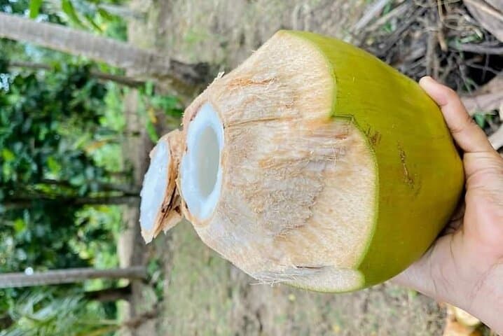 Full-Day Stone Town, Spice Farms & Jozani Forest: Zanzibar’s Cultural and Wild Highlights photo 4