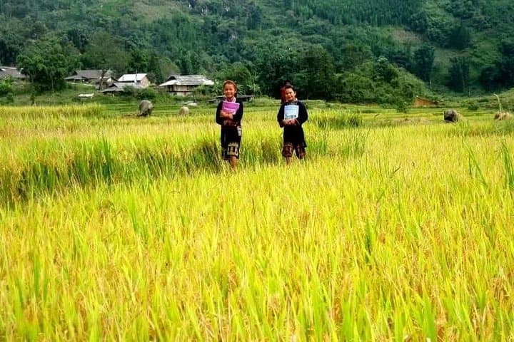 Sapa Waterfalls Trek: Silver & Love Falls, Ban Khoan and Ta Phin Village photo 2