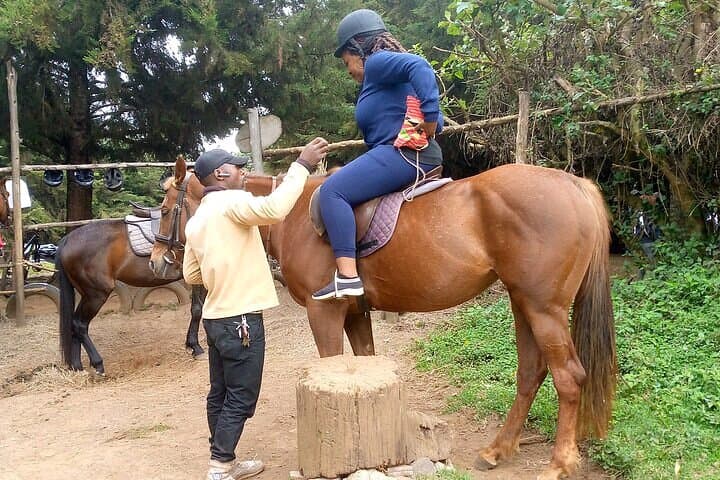Soar Above the Aberdares: Private Zipline Safari & Adventure from Nairobi photo 2