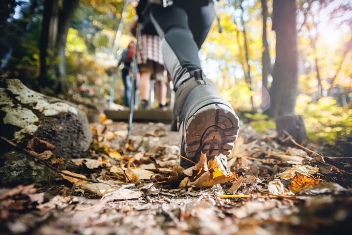 Small-Group Hiking at Pinecrest Lake Trail: Easy 2-Hour Guided Loop photo 3