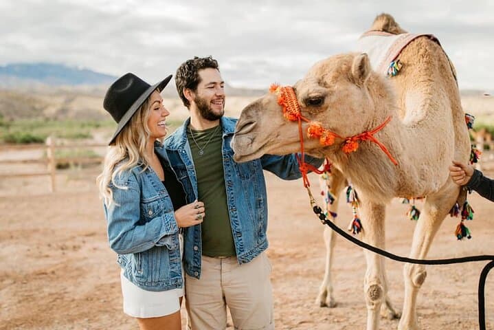 UTV Safari & Zoo Combo: Las Vegas Desert Drive with Camel Encounters photo 6