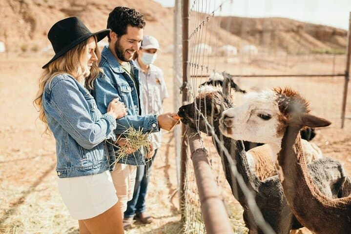 UTV Safari & Zoo Combo: Las Vegas Desert Drive with Camel Encounters photo 5
