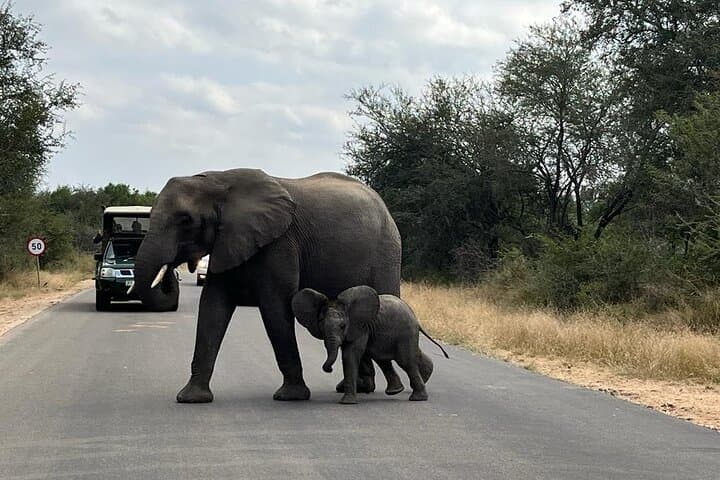 2-Night Private Kruger Safari and Panorama Route — Big Five & God’s Window