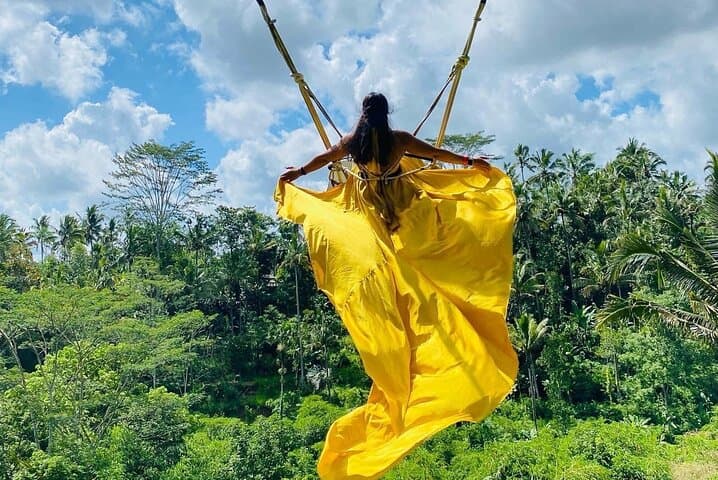 Ubud Private Day Tour: Monkey Forest, Tegalalang Rice Terraces & Jungle Swing