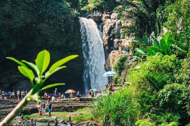 Ubud Private Day Tour: Monkey Forest, Tegalalang Rice Terraces & Jungle Swing photo 2