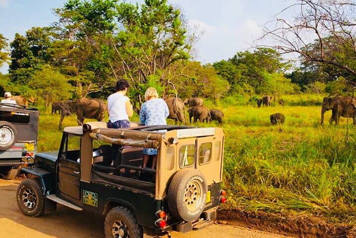 Sigiriya, Dambulla & Minneriya: Private Day Trip from Trincomalee