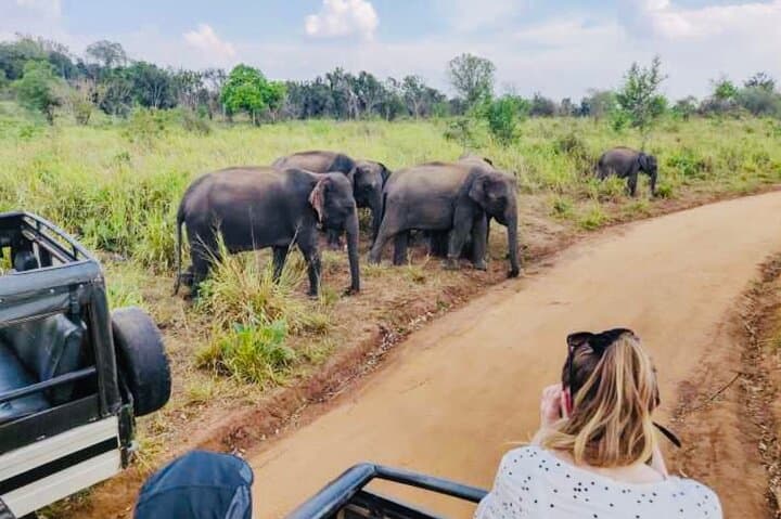Sigiriya, Dambulla & Minneriya: Private Day Trip from Trincomalee photo 2