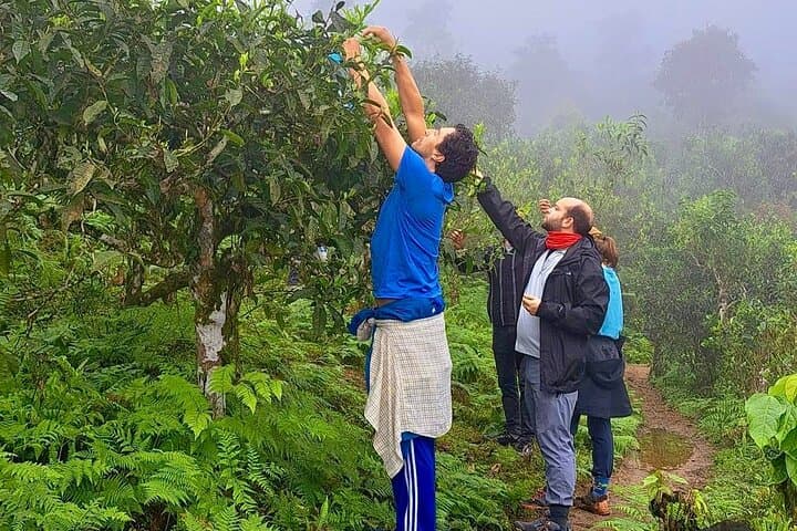 Ha Giang 2-Day Trek: Tay‑Dao Homestay Trek in the Tay Con Linh Range photo 3