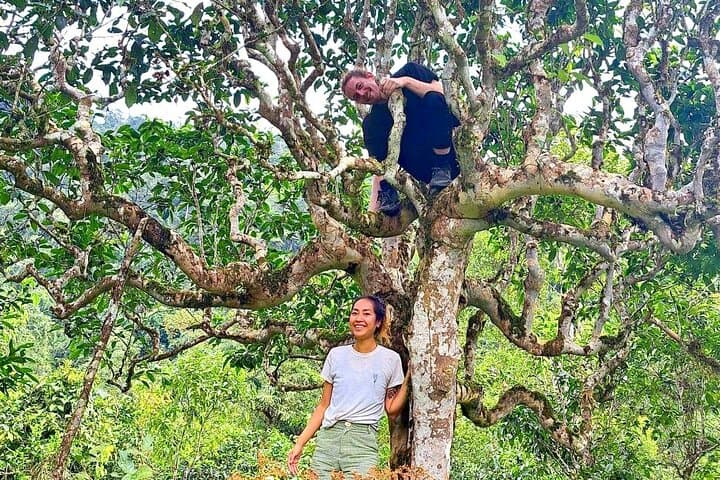 Ha Giang 2-Day Trek: Tay‑Dao Homestay Trek in the Tay Con Linh Range photo 4