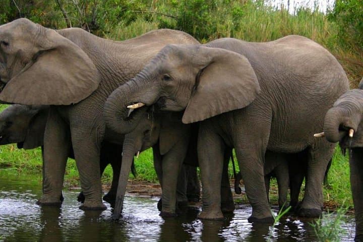 Garden Route Private 3-Day Tour from Cape Town: Safari, Robberg Hike & Whale Watching photo 2