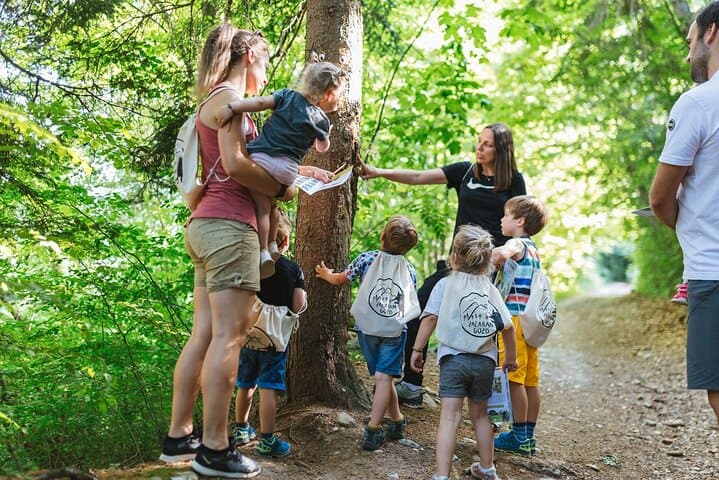 Enchanted Forest Family Adventure on Hom Hill, Bled photo 4