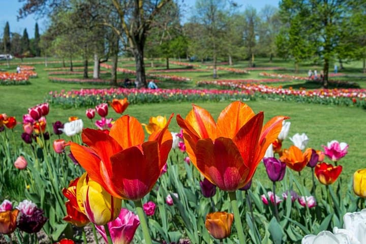 Parco Giardino Sigurtà: Explore Verona’s Award-Winning Garden, Maze & Water Gardens