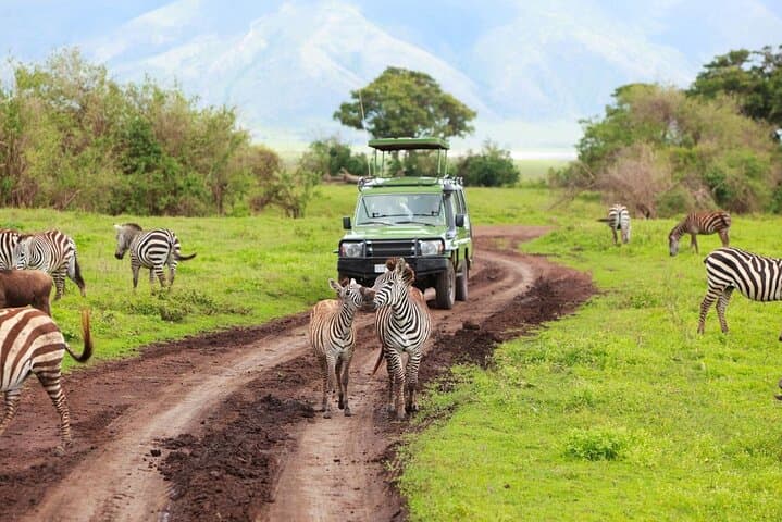 Half-Day Tala Game Reserve & Phezulu Safari from Durban — Wildlife Drive and Cultural Village photo 4
