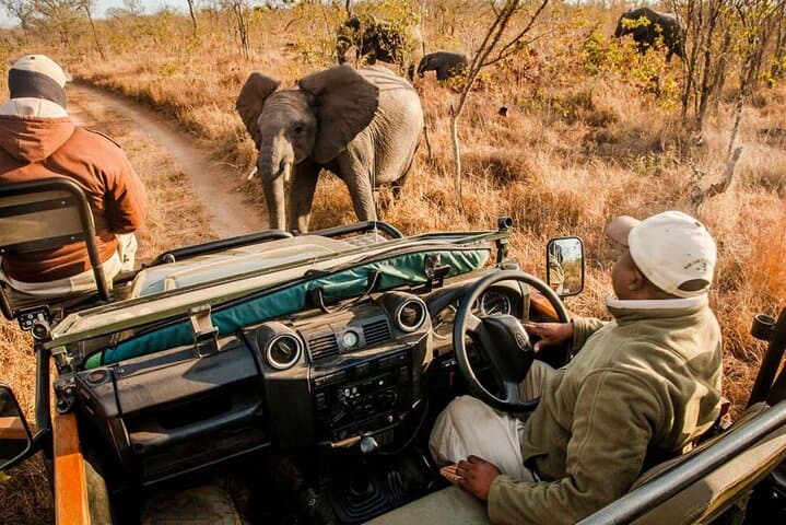 Hluhluwe-Imfolozi Game Drive from Durban: Big 5 Safari Day Trip photo 5