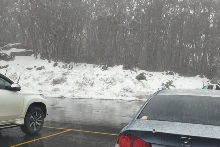 Private Snow Tour From Melbourne — Mt Buller, Mt Hotham & Lake Mountain photo 6