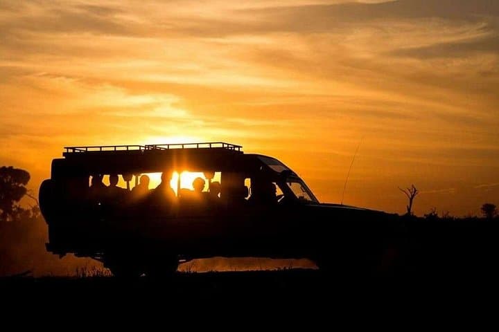 Night Game Drive in Tsavo East: 3-Day Safari from Mombasa & Diani photo 1