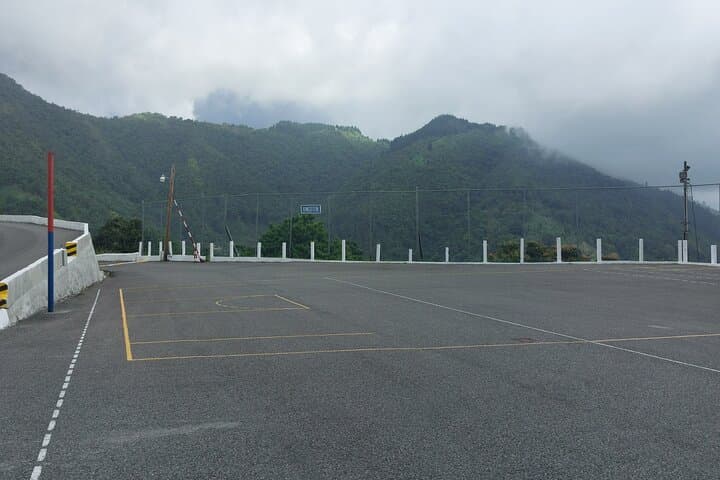Blue Mountains Holywell Park Guided Hike — Trails, Waterfalls & Blue Mahoe Groves photo 3