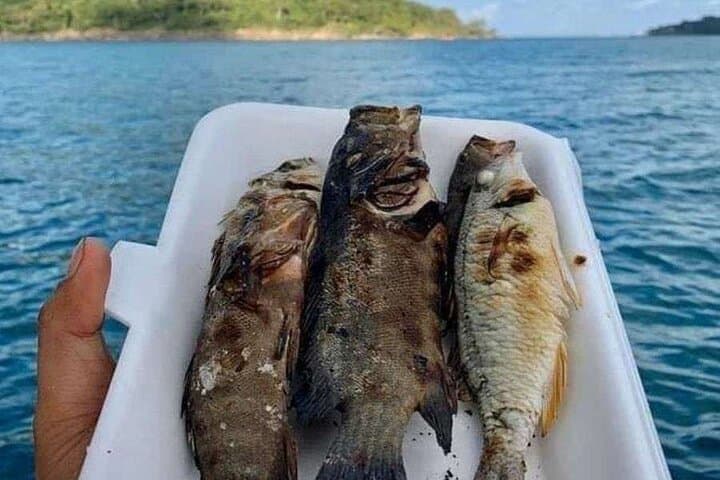 Koh Rong Fishing and Snorkeling Private Tour — Koh Toch, Long Beach & Bioluminescent Plankton photo 4