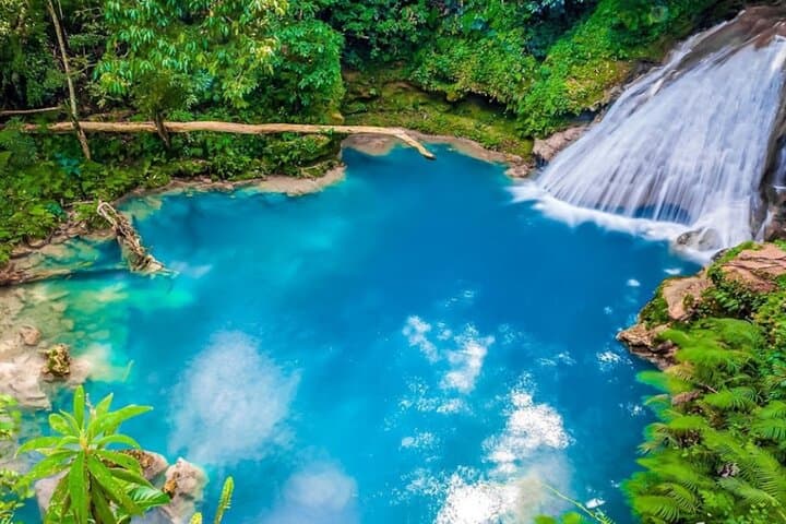 Ocho Rios Adventure: Dunn's River, Blue Hole, Bamboo Raft & Horseback Combo photo 3