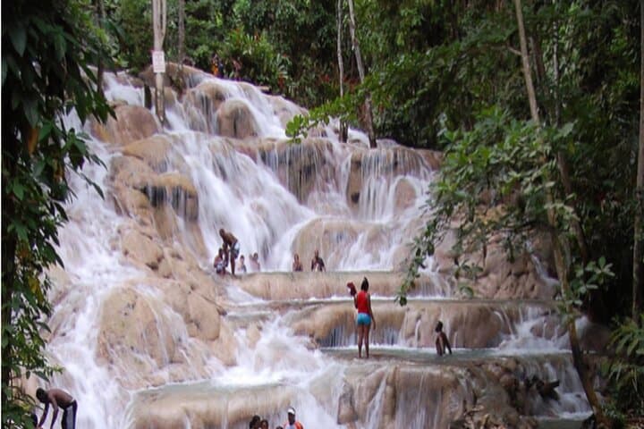 Dunn's River Falls: Private Climb & Park Tour from Montego Bay photo 4