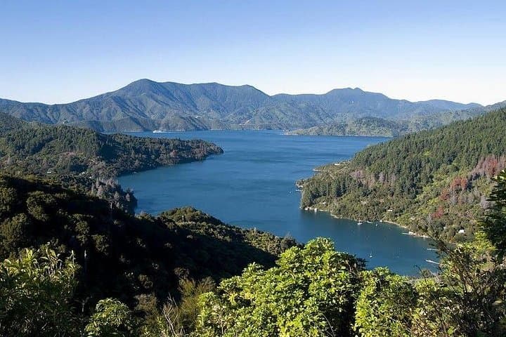 Karaka Point Marlborough Mussels & Makana Chocolate Tour from Picton photo 1