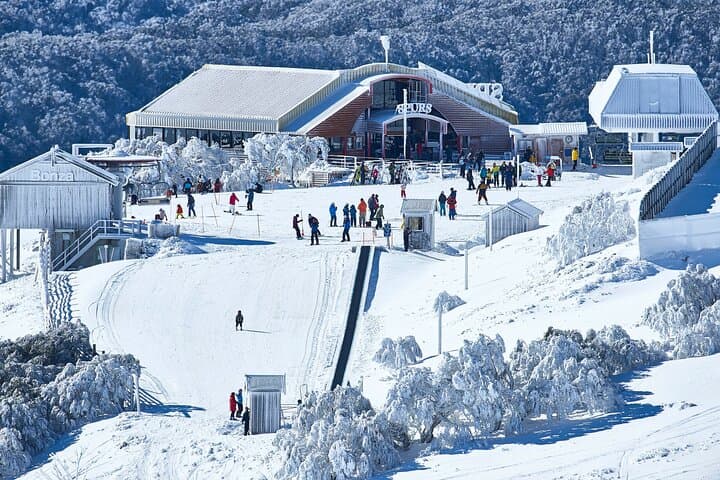 Day Trip to Mount Buller from Melbourne: Ski, Snow Play & Village Exploration photo 5