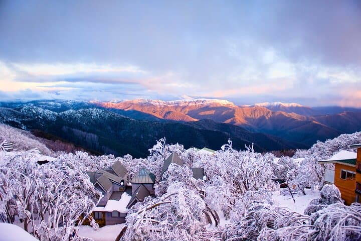 Day Trip to Mount Buller from Melbourne: Ski, Snow Play & Village Exploration photo 6