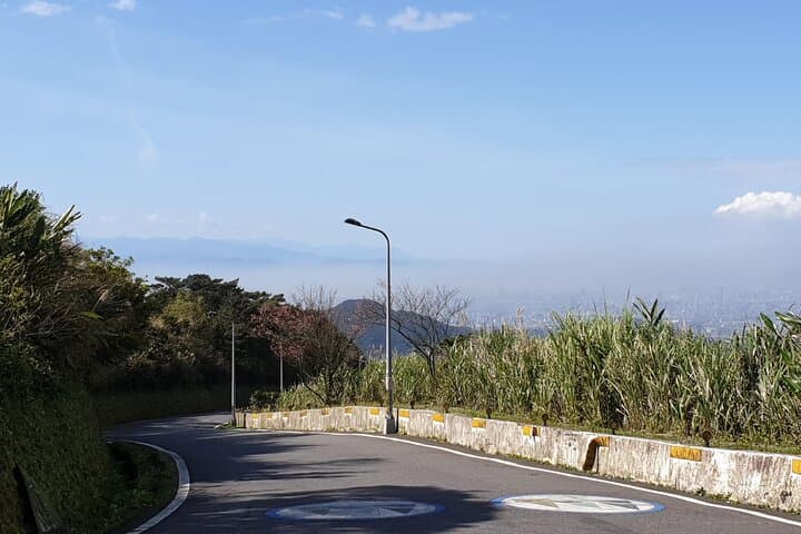 4-Hour Taipei Hill Cycling: Tea Plantations, Reservoir Views & Riverside Paths photo 4