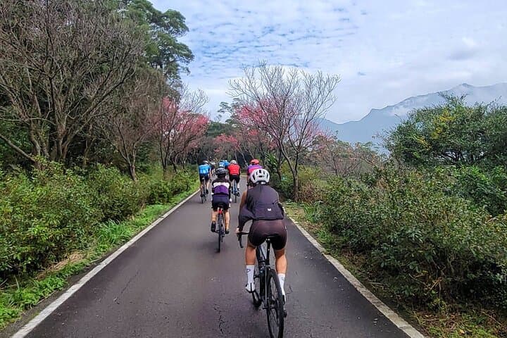 4-Hour Taipei Hill Cycling: Tea Plantations, Reservoir Views & Riverside Paths photo 2