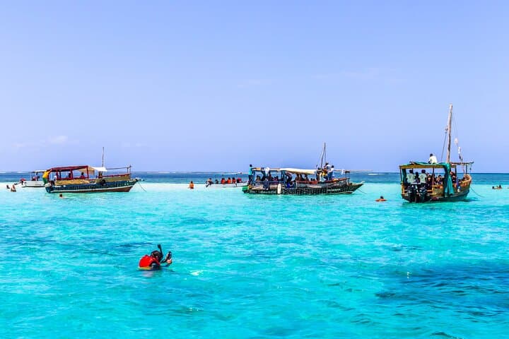 Kisite Marine Park Dolphin Watch & Snorkeling at Wasini Island