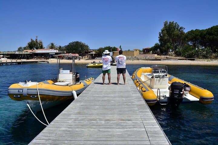 Tavolara & Molara Snorkeling: Guided Half-Day in the Tavolara Marine Protected Area photo 4