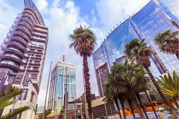 Private Guided Walking Tour in Johannesburg — Insider City Walk & Cultural Highlights photo 5