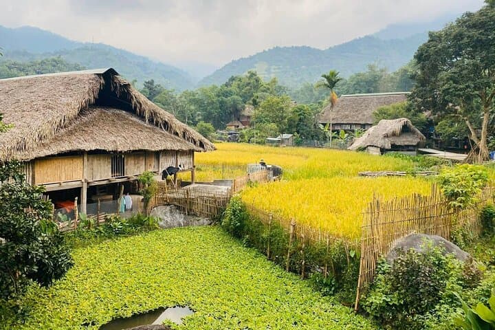 Ha Giang One-Day Trek: Tay & Dao Village Hike Through Terraced Fields photo 4