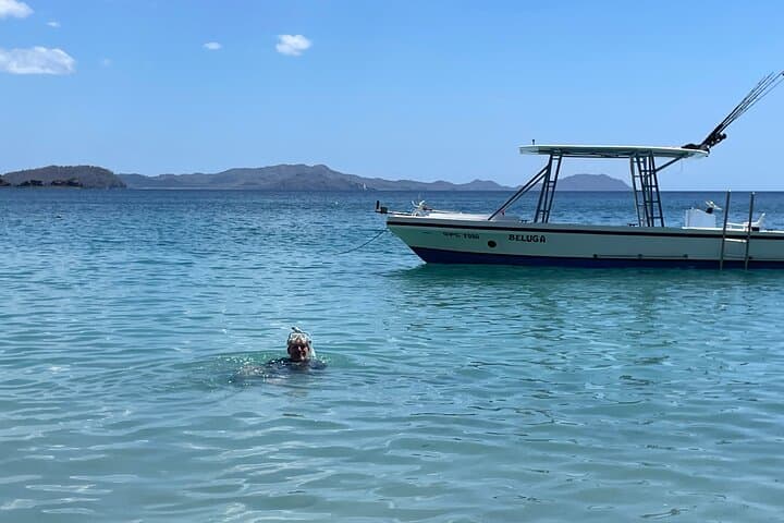 Playa Flamingo Private Snorkeling Tour: Turtles, Rays & Coral Reefs