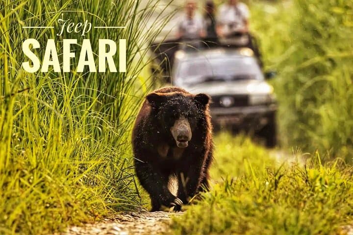 Overnight in Chitwan National Park: 2-Night Wildlife Safari & Jungle Tower Experience photo 1