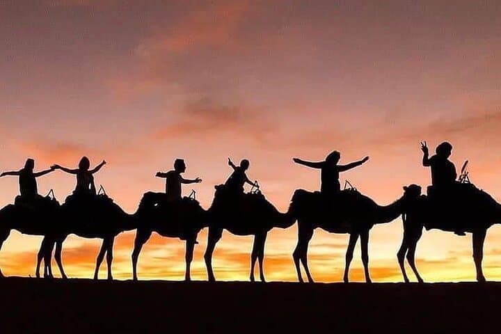 Ourika Valley & Agafay Desert: Quad, Camel and Dinner Show from Marrakech photo 3