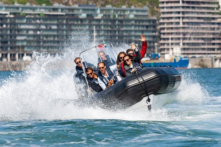 Porto 6 Bridges Speedboat Tour: 45-Min Douro River Highlights from Douro Marina photo 1