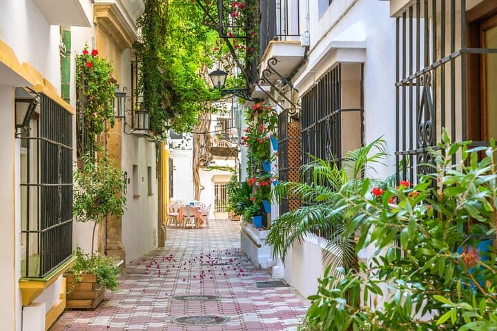 Private Custom Walking Tour in Marbella: Local Guide-Led Old Town & Waterfront Experience