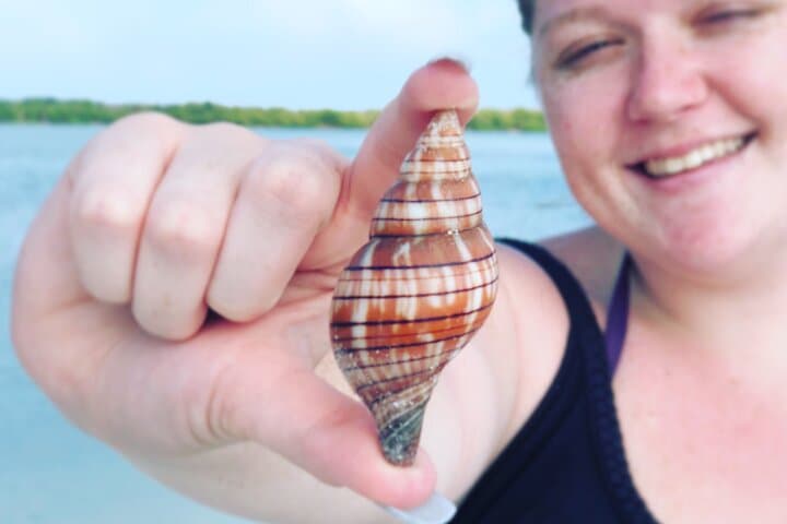 Kice Island Shelling Trip: 4-Hour Goodland Boat Tour to Ten Thousand Islands photo 5