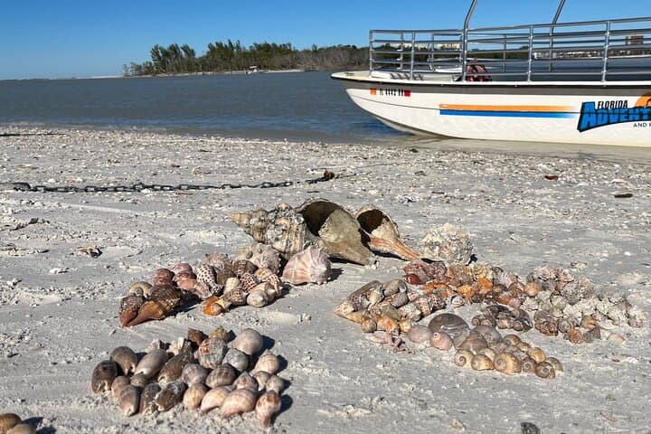 Kice Island Shelling Trip: 4-Hour Goodland Boat Tour to Ten Thousand Islands photo 2