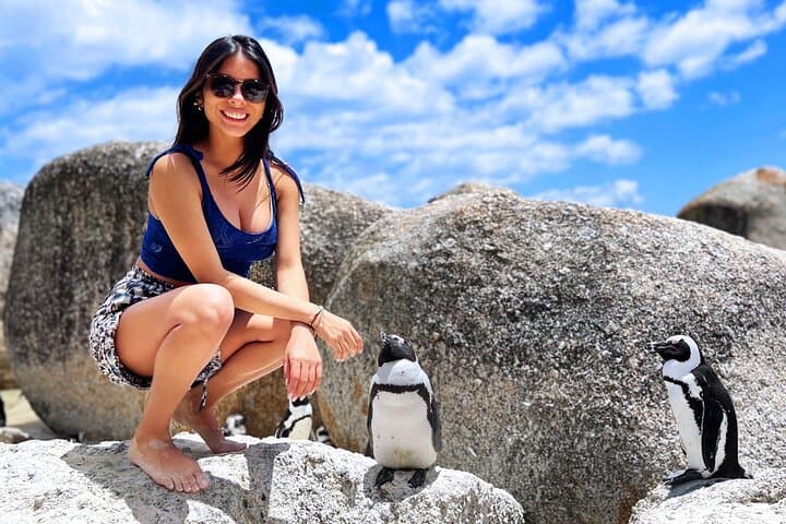 Cape Peninsula Day Tour — Boulders Beach Penguins, Chapman’s Peak & Cape Point photo 2