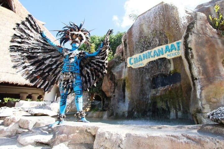 Chankanaab Park Cozumel: Snorkel the Mesoamerican Reef with Lunch and Beach Access photo 6